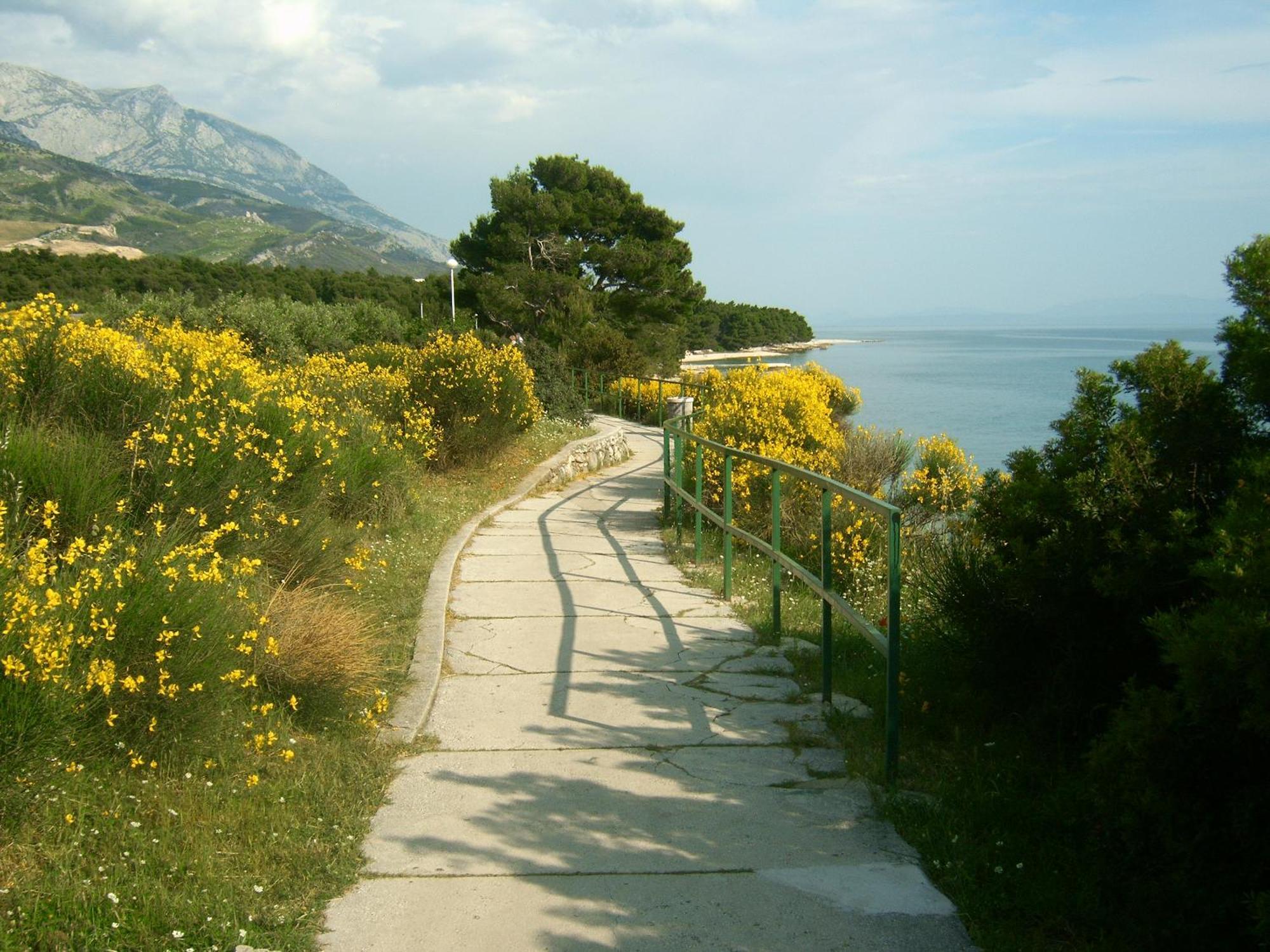 Apartment Tri Sunca Baška Voda Esterno foto